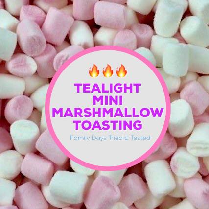 Tealight Mini Marshmallow Toasting