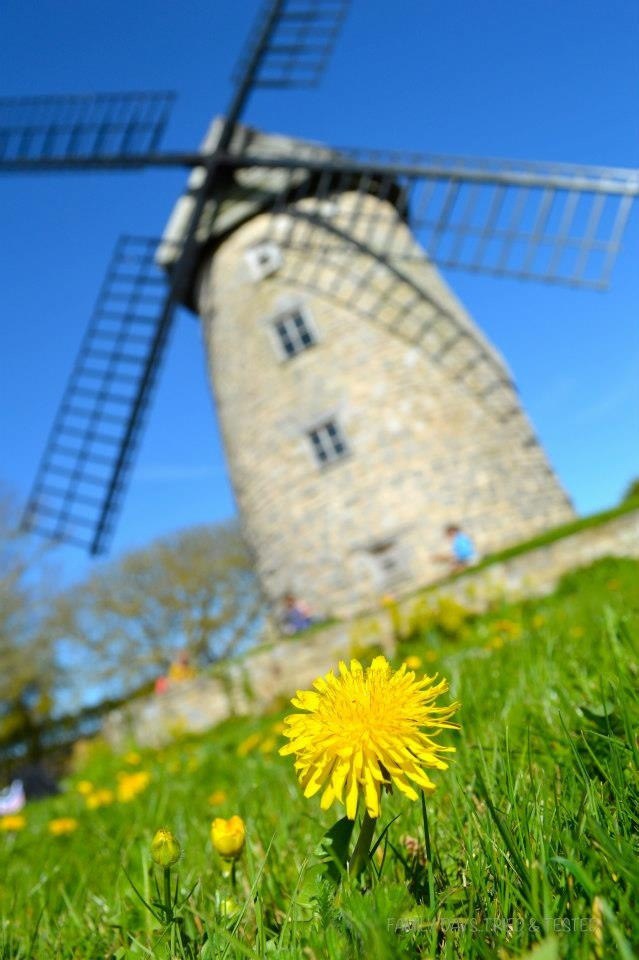 Stembridge Tower Windmill