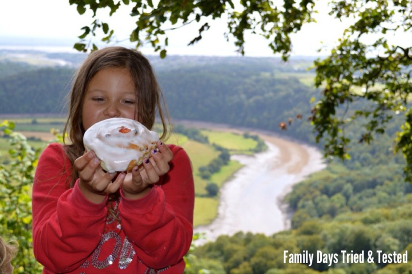 365 Steps to The Eagles Nest Viewpoint – Forest of Dean