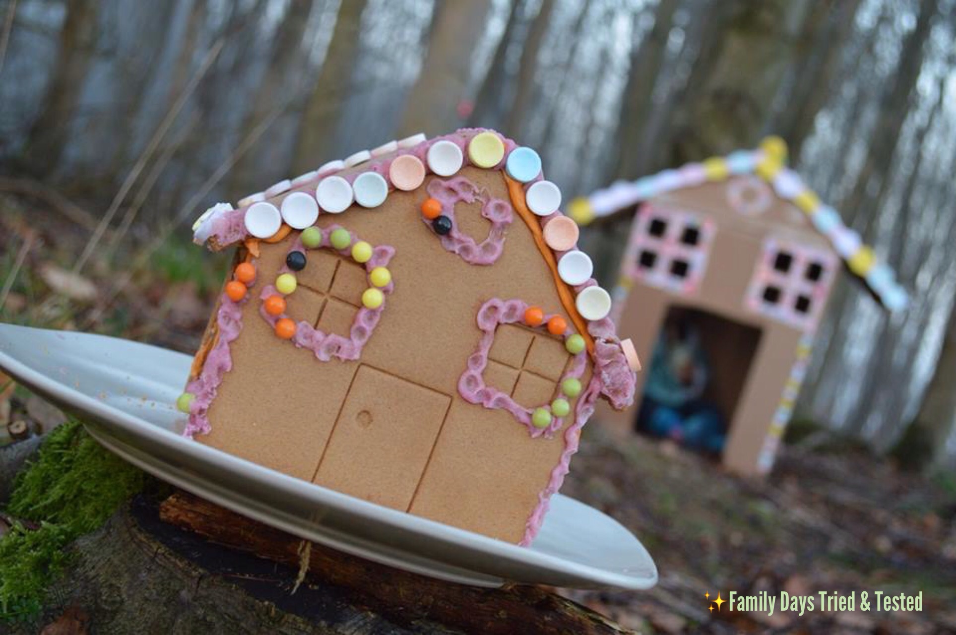Gingerbread Houses, Santa Hunting & Christmas Tree Hot Chocolate