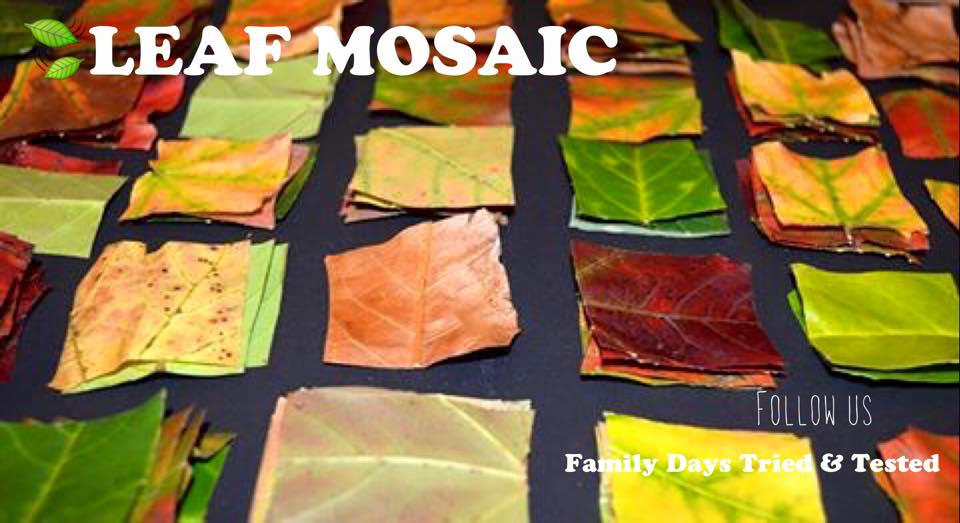 Mosaic Leaf Art