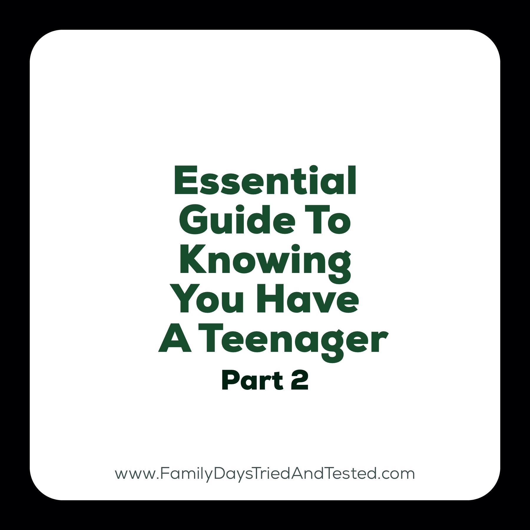Essential Guide To Knowing You Have A Teenager- Part 2