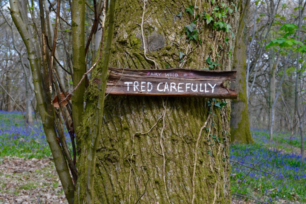 Creating A Fairy Kingdom In The Bluebell Wood
