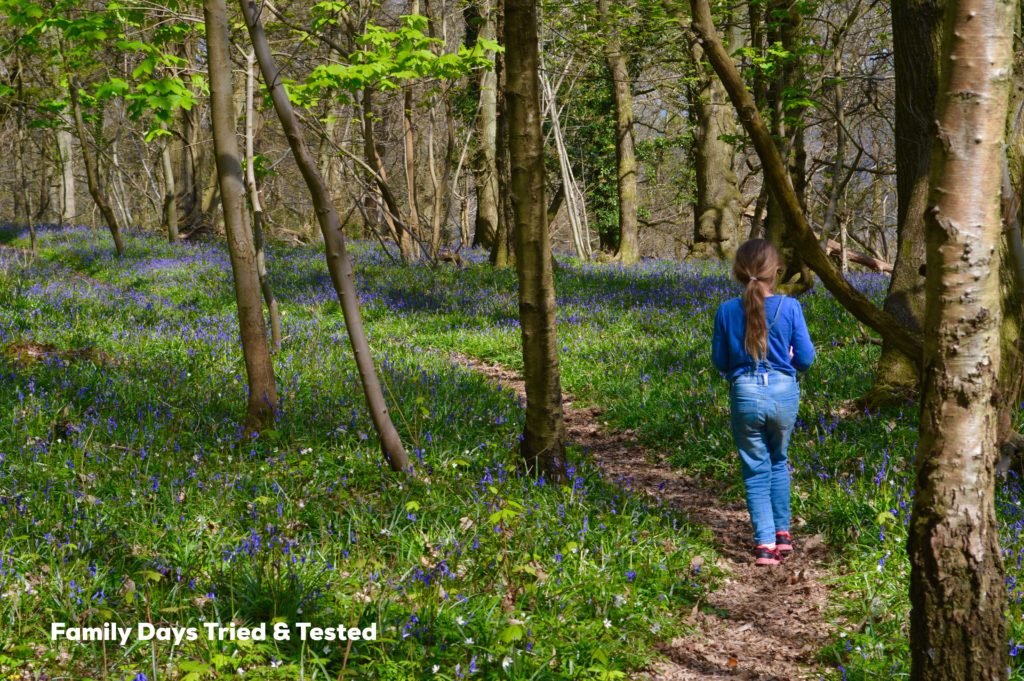 Creating A Fairy Kingdom In The Bluebell Wood