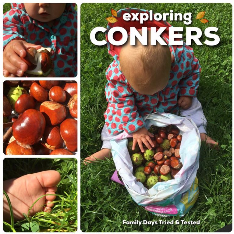 Conker, Hazelnut & Acorn Ideas