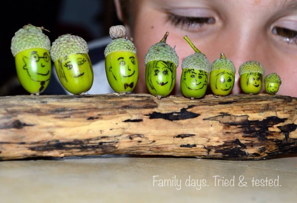 acorn family