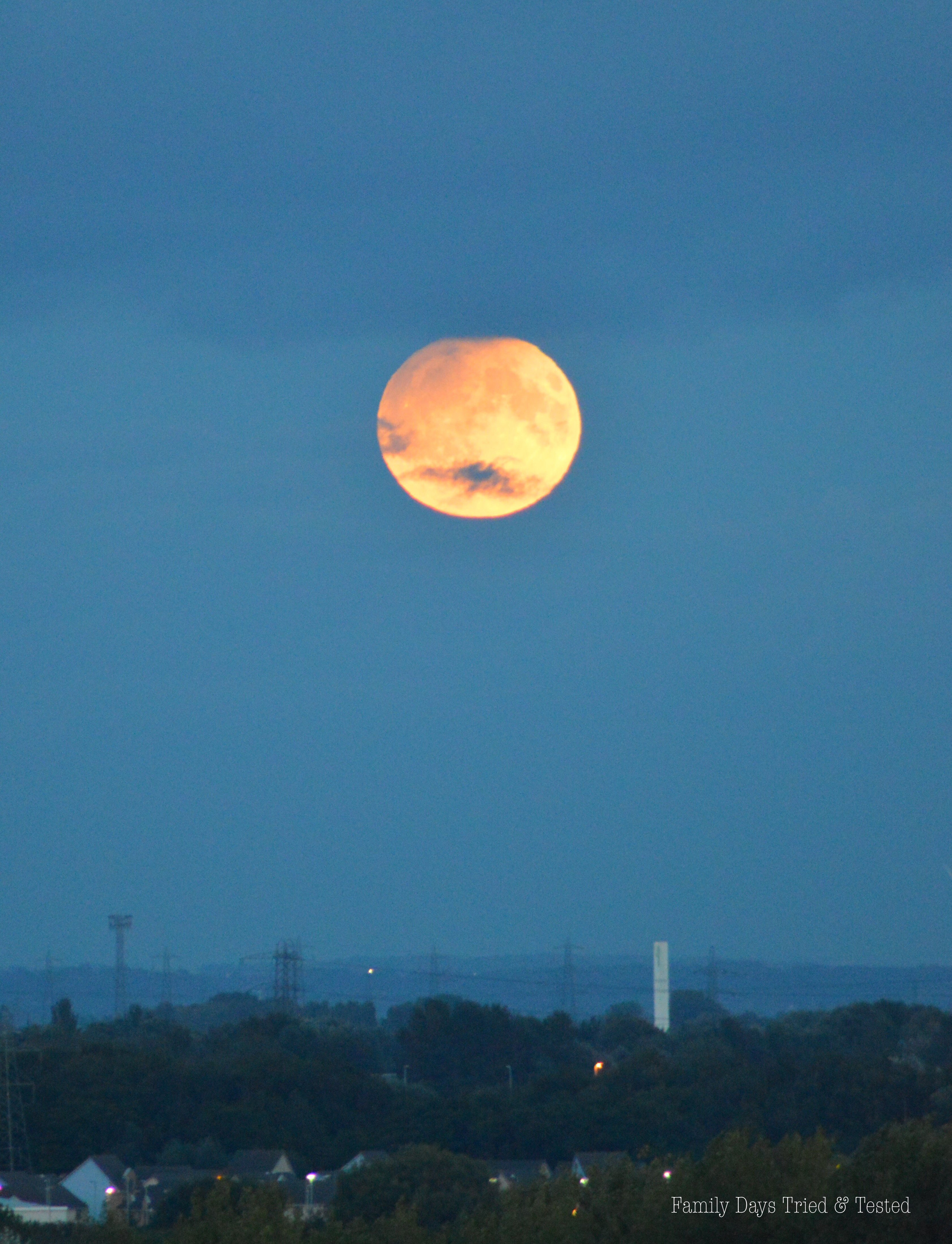 Harvest Moon Over Newport 