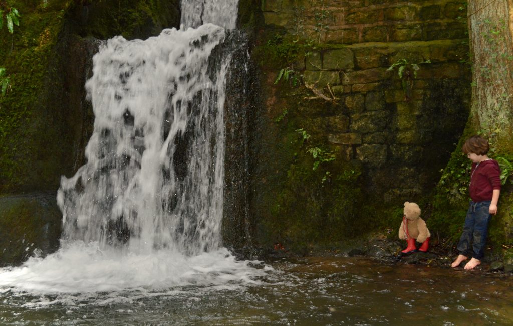 Honey Bear Finds A Waterfall