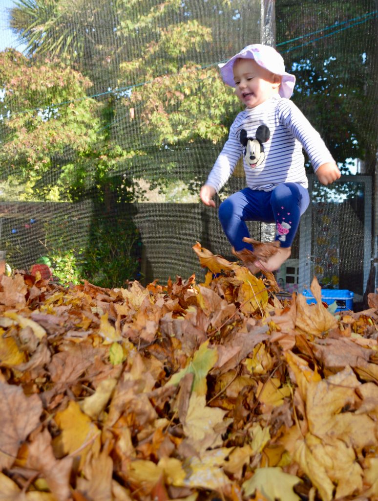 Autumn Leaves Trampolining