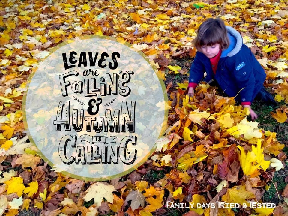 fun with leaves
