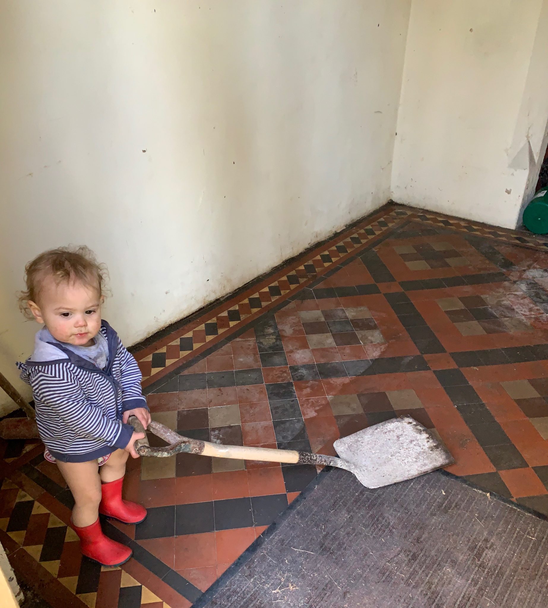 Clean Up Begins At Holly House